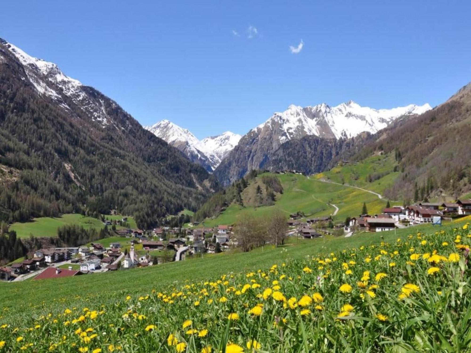 Apartment Apartment In W Ngle Tyrol With Walking Trails Near *